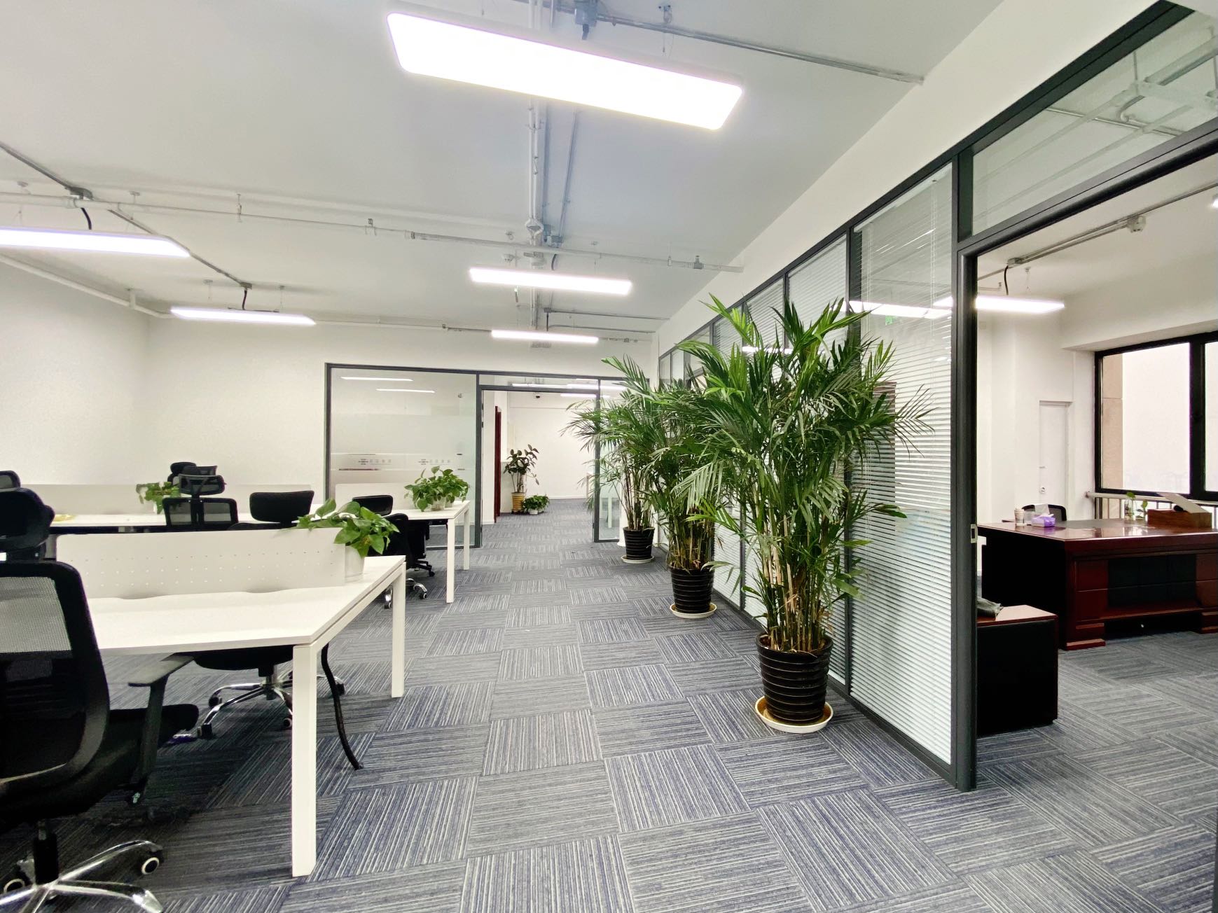 现代化办公室内部，开放式办公区，大面积落地窗，自然光线充足，办公桌椅整齐排列